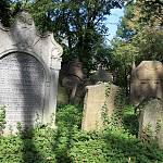 Kolín - starý židovský hřbitov, náhrobek Cevi Hirše (2012)
