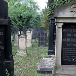 Kolín - nový židovský hřbitov, náhrobky (2012)
