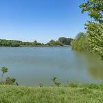 Louky u rybníka Proudnice - přírodní rezervace, rybník Proudnice (2018)
