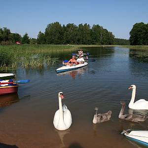 Ginučiai-jezero Srovinatis