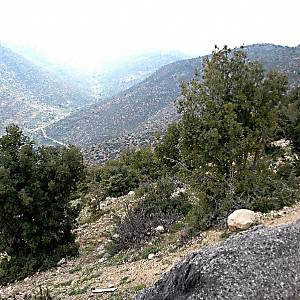 Cesta přes severní úbočí pohoří Libanon