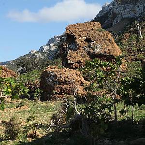 Nádherné planiny pod převisy vápencových skal s porosty myrhovníků