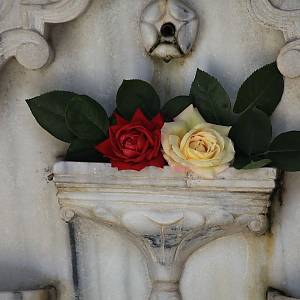 Bachčisaraj, růže na Fontáně slz