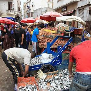 Trh v Casablance.