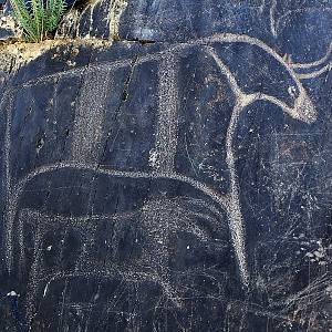 Kaňon Sarmišsoj - petroglify
