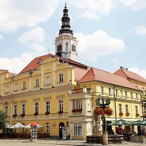 Świdnica (Svídnice) - radnice