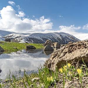 Arménské hory a kvetoucí křivatce žluté
