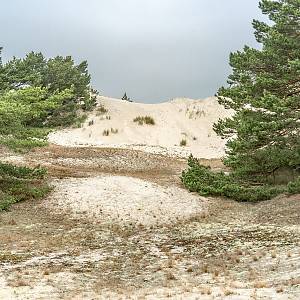 Výlet do přírodní rezervace Helské duny (Helskie Widmy)