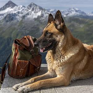 Jakobshorn