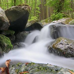 Tajuplná Šembera - foto Josef Jeníček