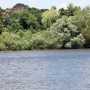 Týnec nad labem - pohled na tvrz přes Labe