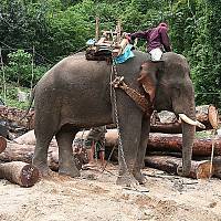 laos - Mekong