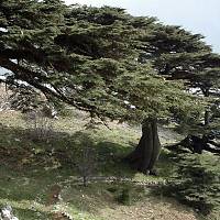 Libanon - pohoří Šúf