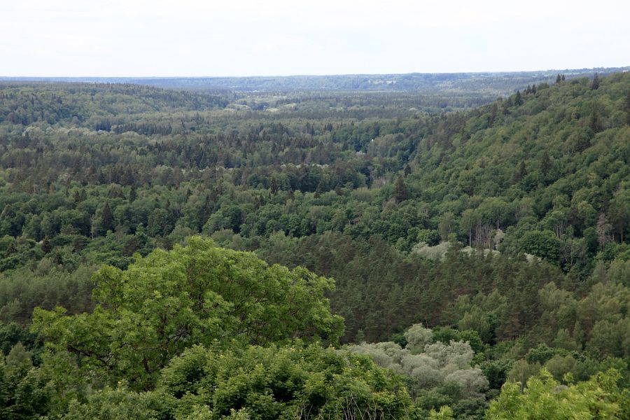 Lotyšsko - Národní park Gauja, údolí řeky Gauja