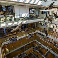 Itálie - Trident (Trento)