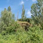 Velim - přírodní památka Skalka u Velimi (2019)