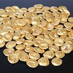 Starý Kolín - poklad zlatých mušlovitých statérů (foto H. Toušková)