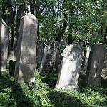 Kolín - starý židovský hřbitov, náhrobky z 1. poloviny 19. století (2012)