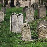 Kolín - starý židovský hřbitov (2010)