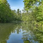 Přírodní rezervace Veltrubský luh (2018)