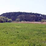 Týnec nad Labem - hradiště Kolo, pohled od severu (2010)