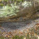 Vyšehořovice - přírodní památka U skal, lupek pod příkrovem z pískovce (2018)