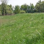 Valy hradiště na východní straně (2006)