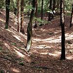 Čertova brázda v lese u Radlic (2008)