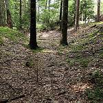 Čertova brázda v lese u Krymlova (2008)