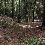 Úsek Čertovy brázdy u Krymlova (2008)