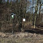 Evropsky významná lokalita NATURA 2000 Dománovický les - hranice rezervace (3. 3. 2012)
