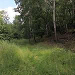 Evropsky významná lokalita NATURA 2000 Dománovický les (2010)