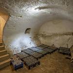 Svojšice - zámek, sklep pod severním křídlem (2025)