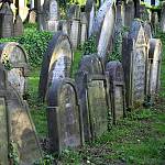 Židovský hřbitov v Přistoupimi (2010)