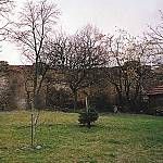 Sedlov - zbytky tvrze od severovýchodu (1993, repro vlastní fotografie)