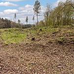 Lažany - tvrziště, pohled na tvrziště od hráze zaniklého rybníka (2022)