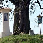 Zalešany - boží muka sv. Františka (2017)