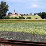 Kolín - řepařská naučná stezka, pohled na Ovčáry z trasy (25. 6. 2011)