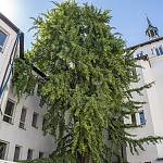 Kolín - Jinan v Kolíně (2020)