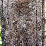 Štolmíř - socha sv. Jana Nepomuckého, nápis na přední straně soklu (2022)