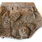 Tlustovousy - archeologické nálezy, zlomek středověké kachle s hlavou archanděla (Podlipanské muzeum Český Brod)