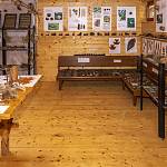 Kostelec nad Černými lesy - arboretum, výstava šišek (2021)