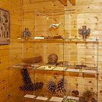 Kostelec nad Černými lesy - arboretum, výstava šišek (2021)