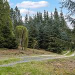 Kostelec nad Černými lesy - arboretum (2021)