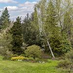 Kostelec nad Černými lesy - arboretum (2021)