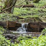 Kostelec nad Černými lesy - naučná stezka mokřadních biotopů, jednoduchá zařízení na zadržení vody (2021)