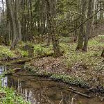 Kostelec nad Černými lesy - naučná stezka mokřadních biotopů, meandrující potok (2021)