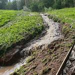 Kostelec nad Černými lesy - naučná stezka mokřadních biotopů po bouřce 14. 7. 2021