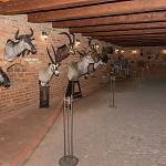 Bylandia - muzeum zvířat (2022)